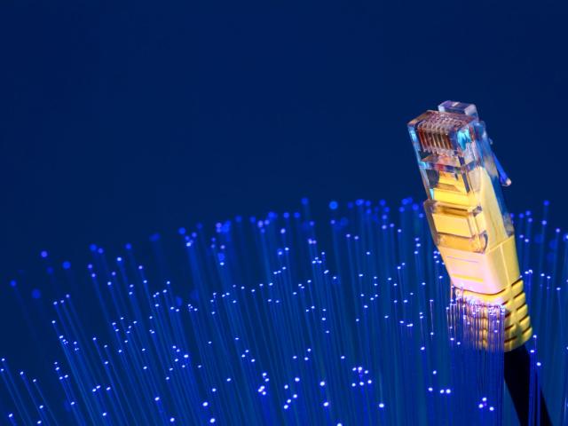 Besuchen Sie STLs Website