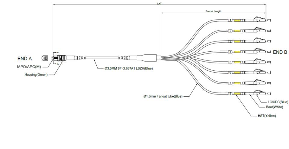 MPO-Fanout-Kabel, 3m Stecker: 1 x MPO/APC male auf 8 x LC blau 0,5m Fanout; Singlemode, 9/125