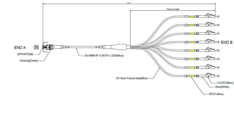MPO-Fanout-Kabel, 3m  Stecker: 1 x MTP/APC male auf 8 x LC blau 0,5m Fanout; Singlemode, 9/125